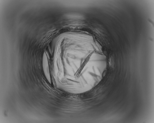 X0000099961396200806061555