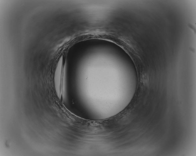X0000099961398200806061555