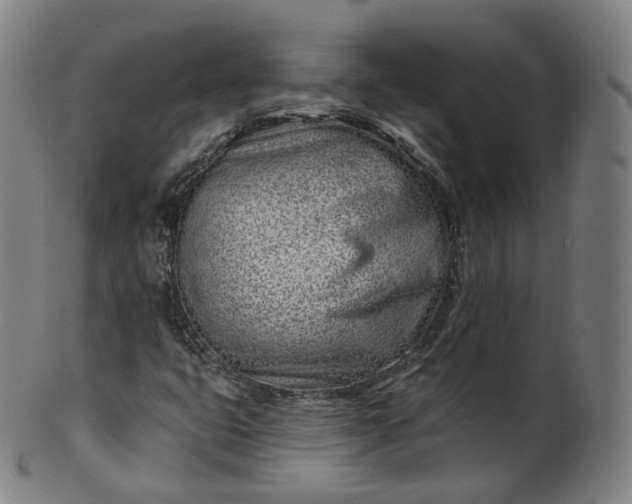 X0000099961399200806061555