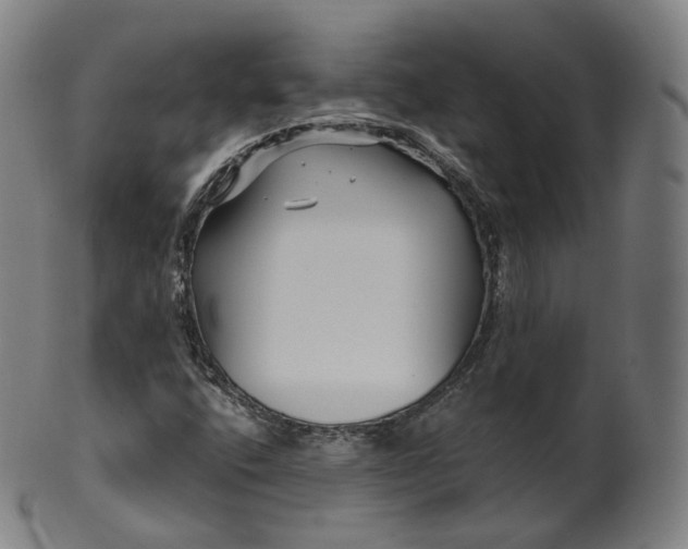 X0000099961400200806061555