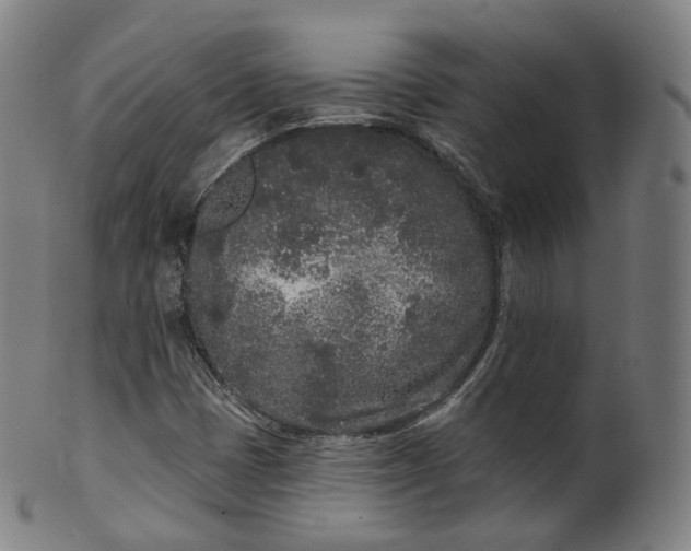 X0000099961401200806061555
