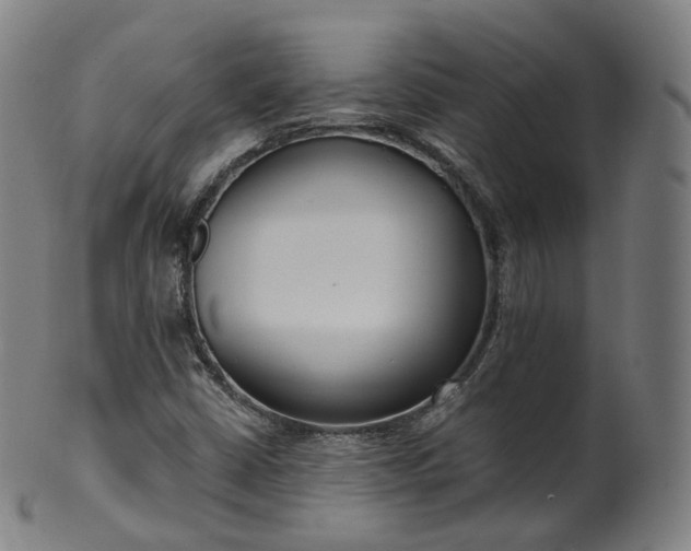 X0000099961402200806061555
