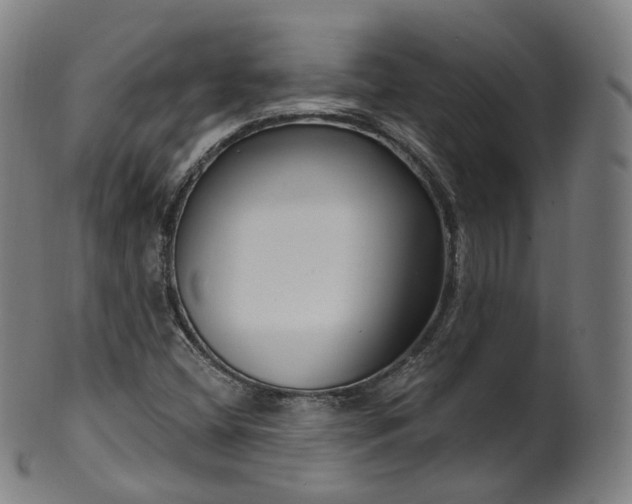 X0000099961404200806061555