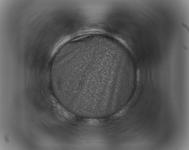 X0000099961405200806061555