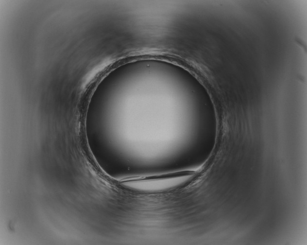 X0000099961406200806061555