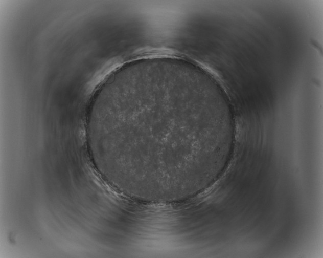 X0000099961407200806061555