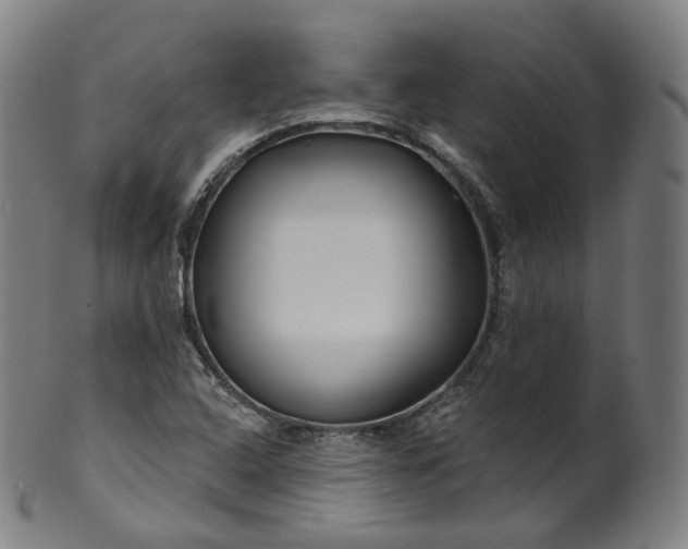 X0000099961408200806061555