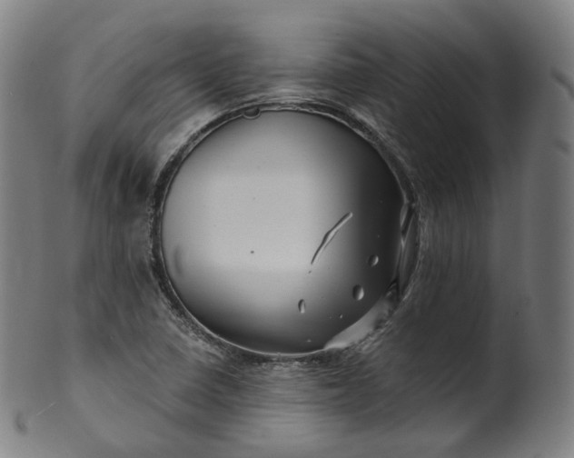 X0000099961410200806061555