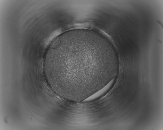 X0000099961411200806061555