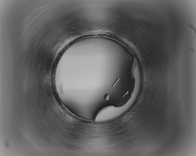 X0000099961412200806061555
