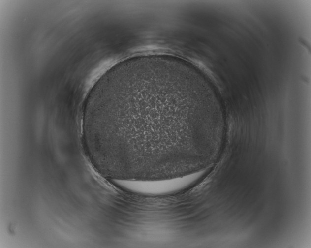 X0000099961413200806061555