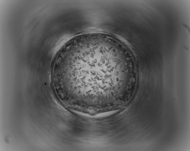 X0000099961415200806061555