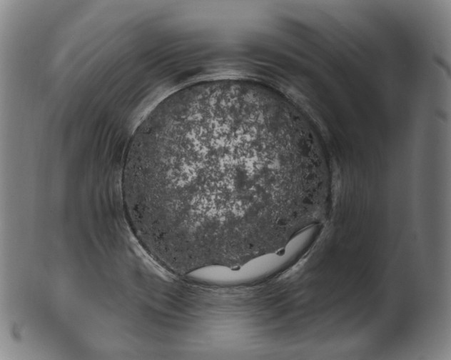 X0000099961417200806061555