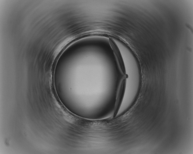 X0000099961418200806061555