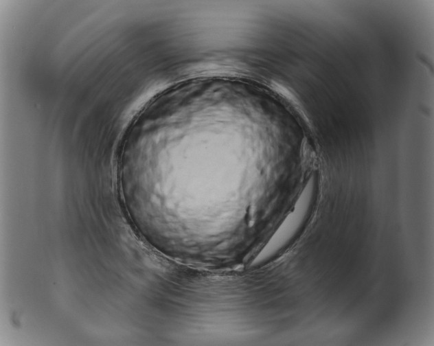 X0000099961419200806061555