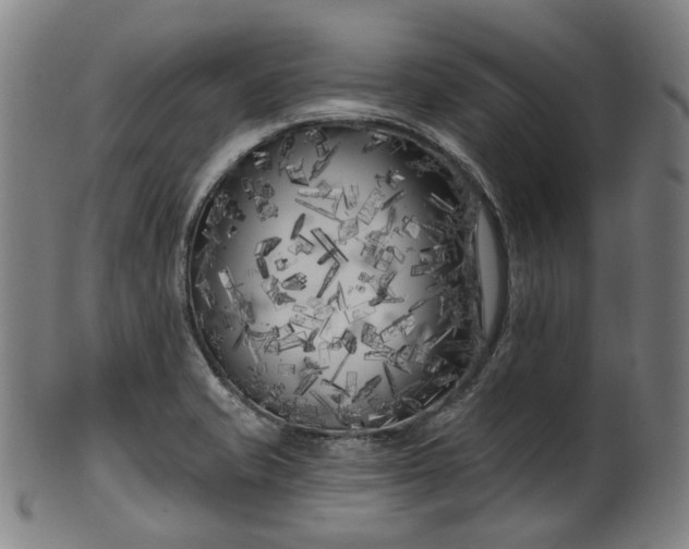X0000099961421200806061555