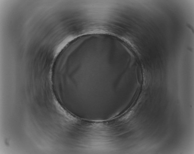X0000099961422200806061555