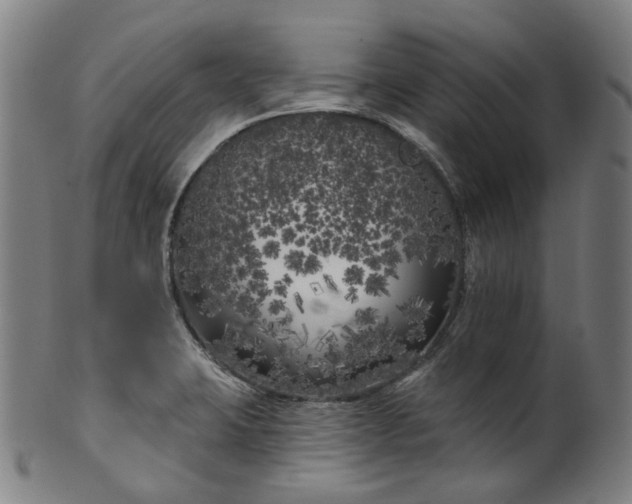 X0000099961423200806061555