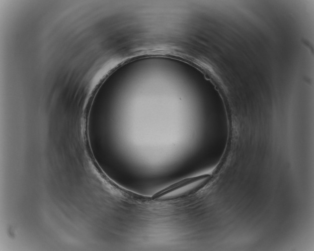 X0000099961424200806061555