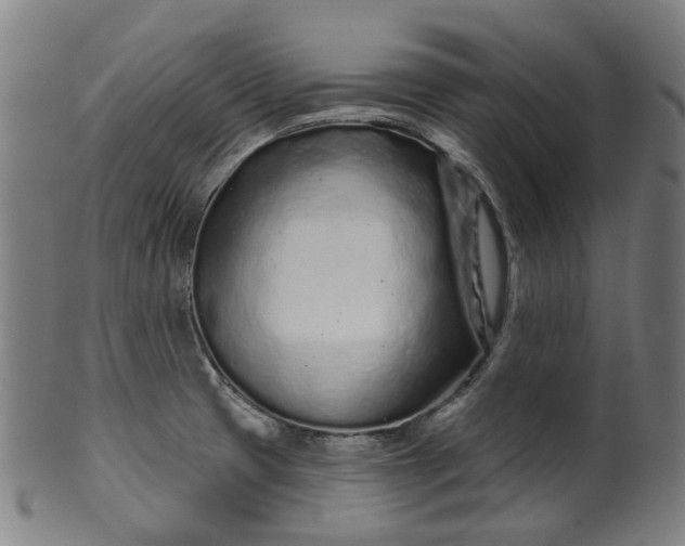X0000099961425200806061555