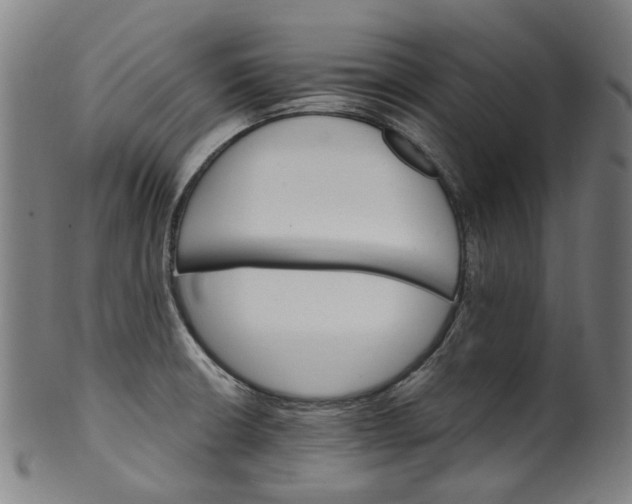 X0000099961426200806061555