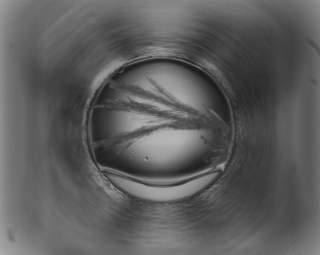 X0000099961427200806061555