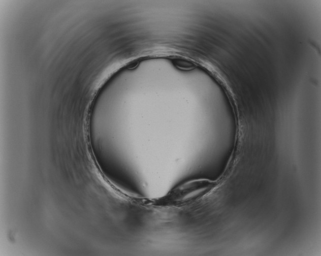 X0000099961429200806061555