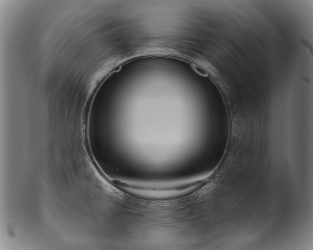 X0000099961430200806061555