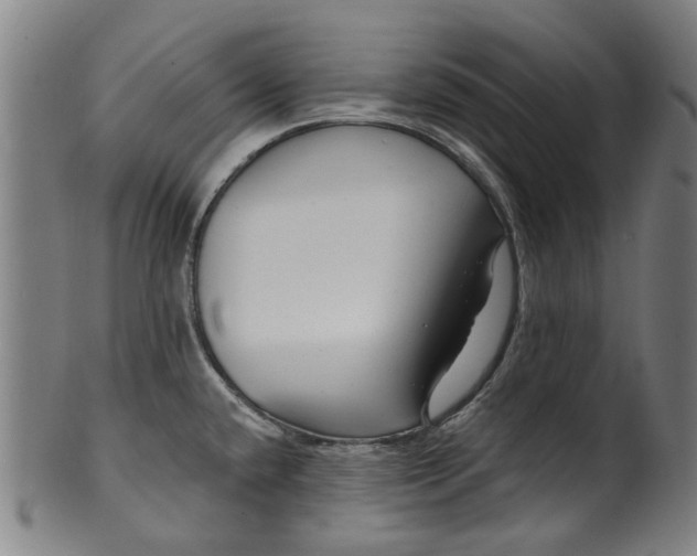 X0000099961432200806061555