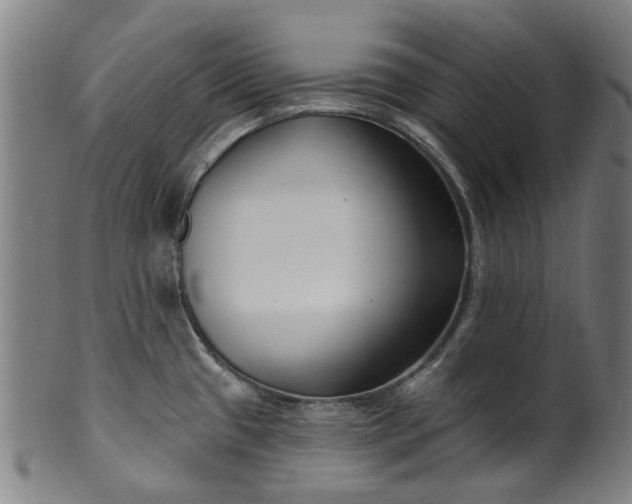 X0000099961433200806061555