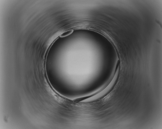 X0000099961434200806061555
