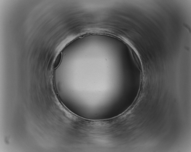 X0000099961437200806061555