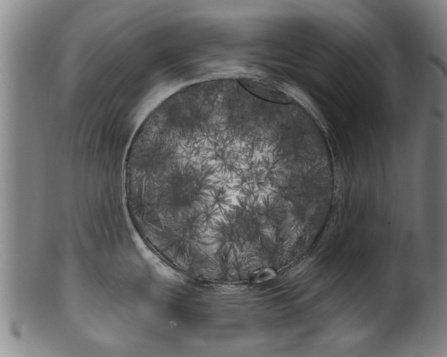 X0000099961439200806061555