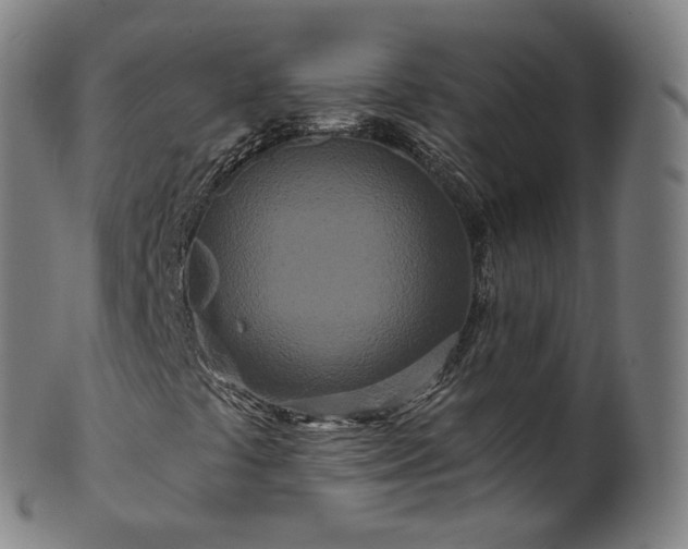 X0000099961441200806061555