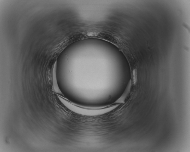 X0000099961443200806061555