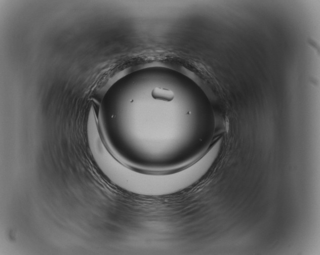 X0000099961444200806061555