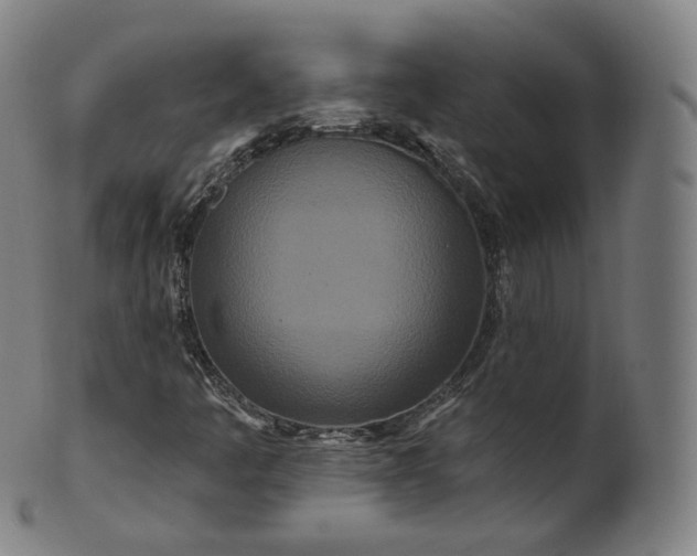X0000099961445200806061555