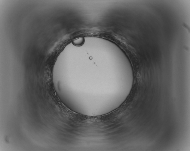 X0000099961447200806061555