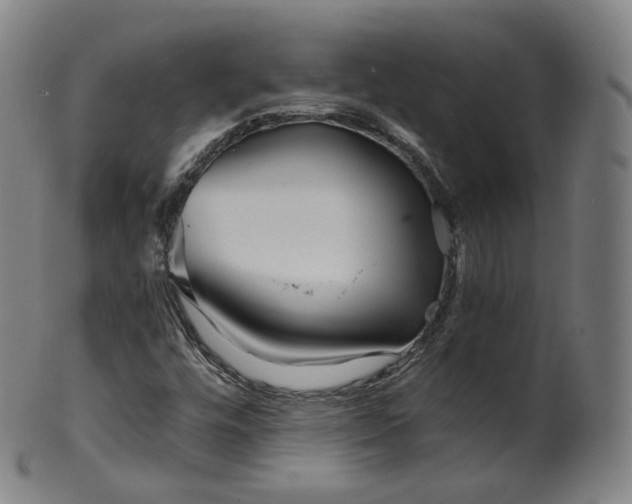X0000099961448200806061555