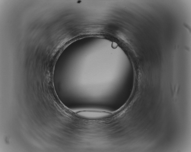 X0000099961449200806061555