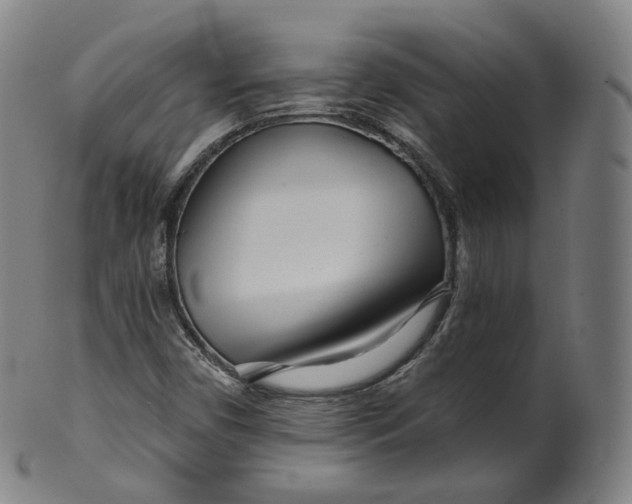 X0000099961450200806061555