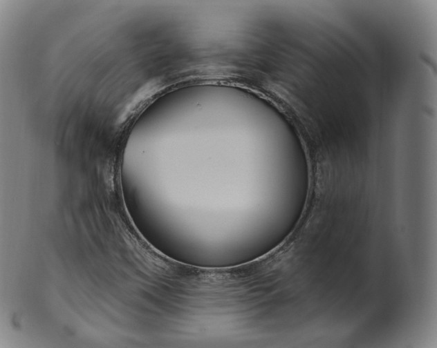 X0000099961451200806061555
