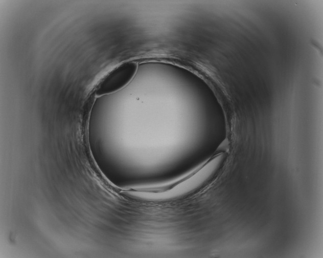 X0000099961452200806061555