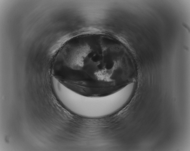 X0000099961455200806061554
