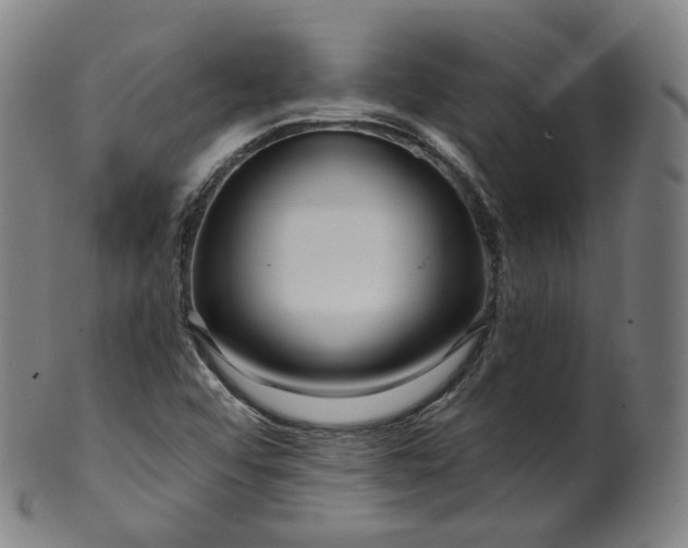 X0000099961456200806061554