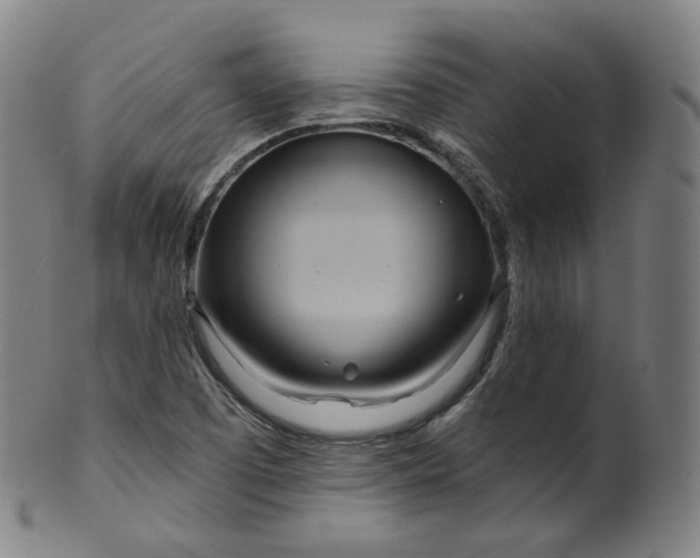 X0000099961457200806061554
