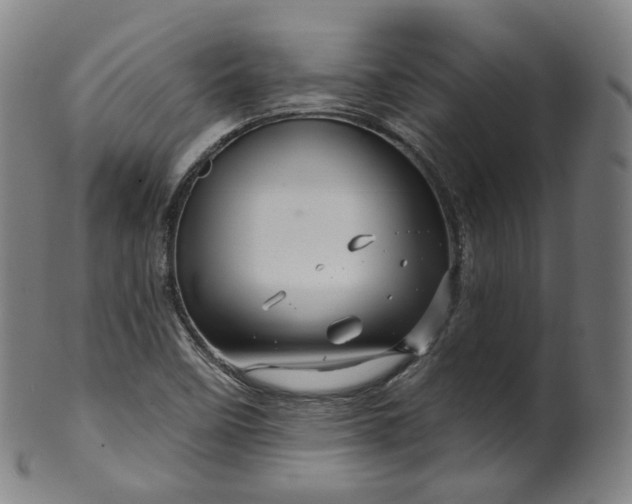 X0000099961458200806061554