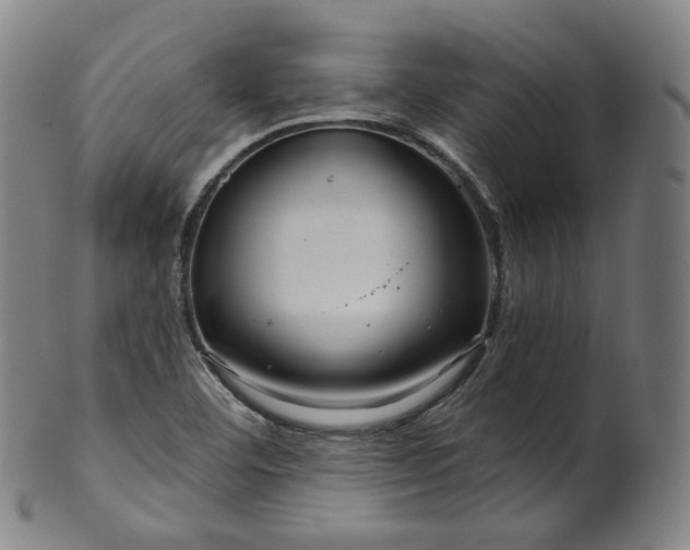 X0000099961460200806061554