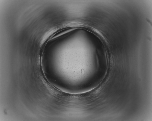 X0000099961461200806061554
