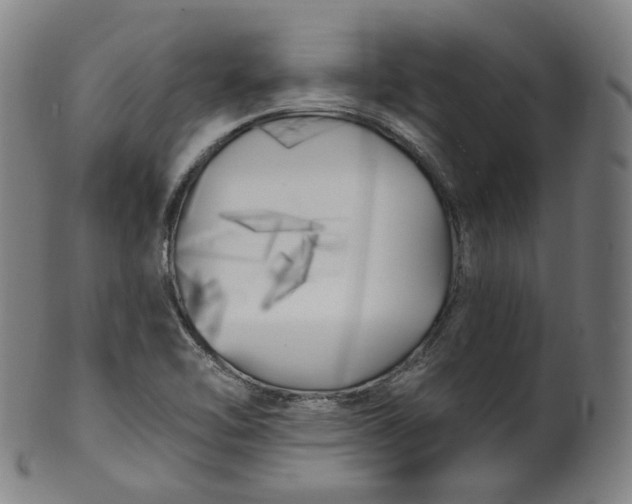 X0000099961462200806061554